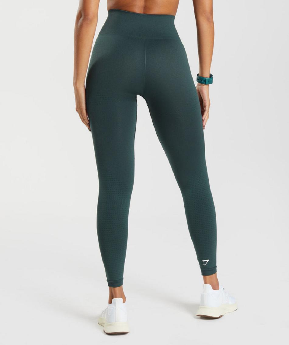 Legginsy Damskie Gymshark Vital Seamless 2.0 Zielone | PL 2203TCE